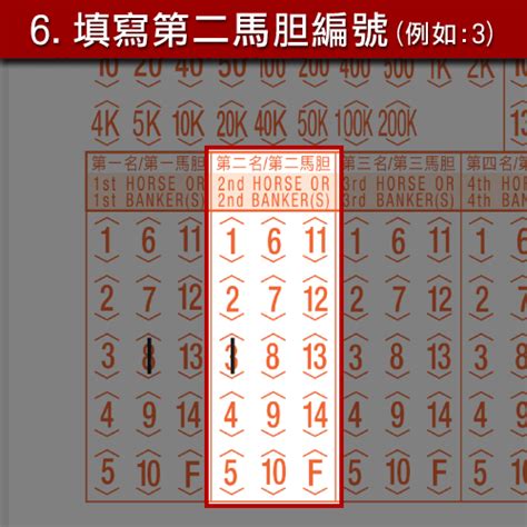 7隻馬 位置|說明：彩金計算 單獨以一場賽事為彩池者